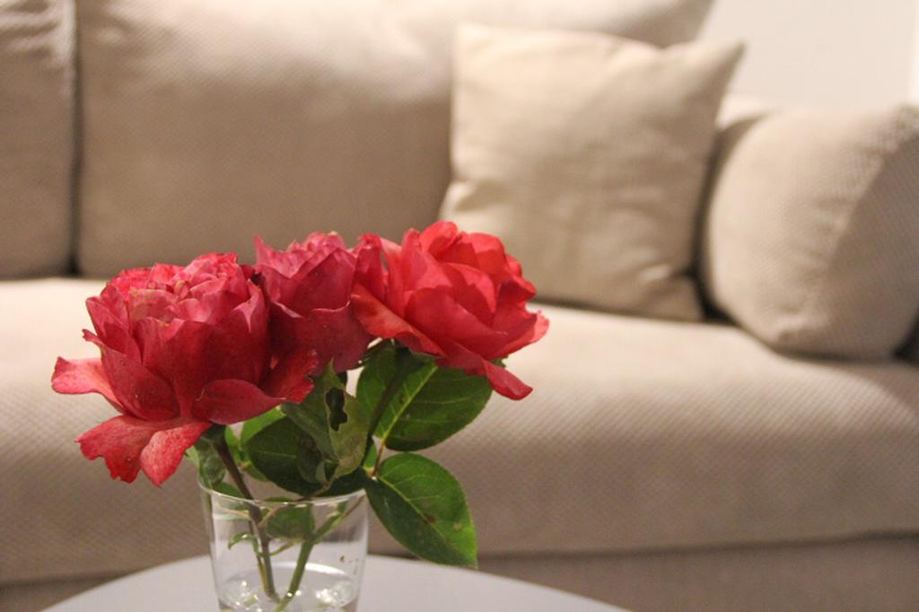 Filipa Apartment 코토르 외부 사진